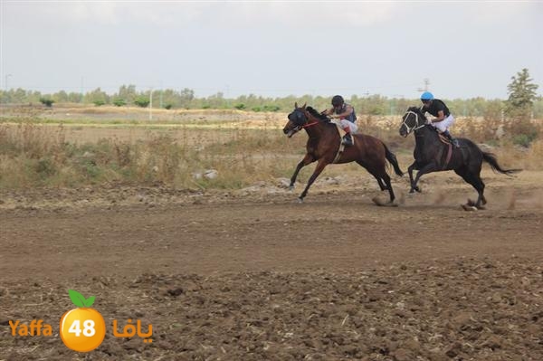 khoyoul lud 0610 (75).JPG